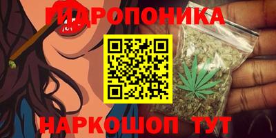 ECSTASY Будённовск