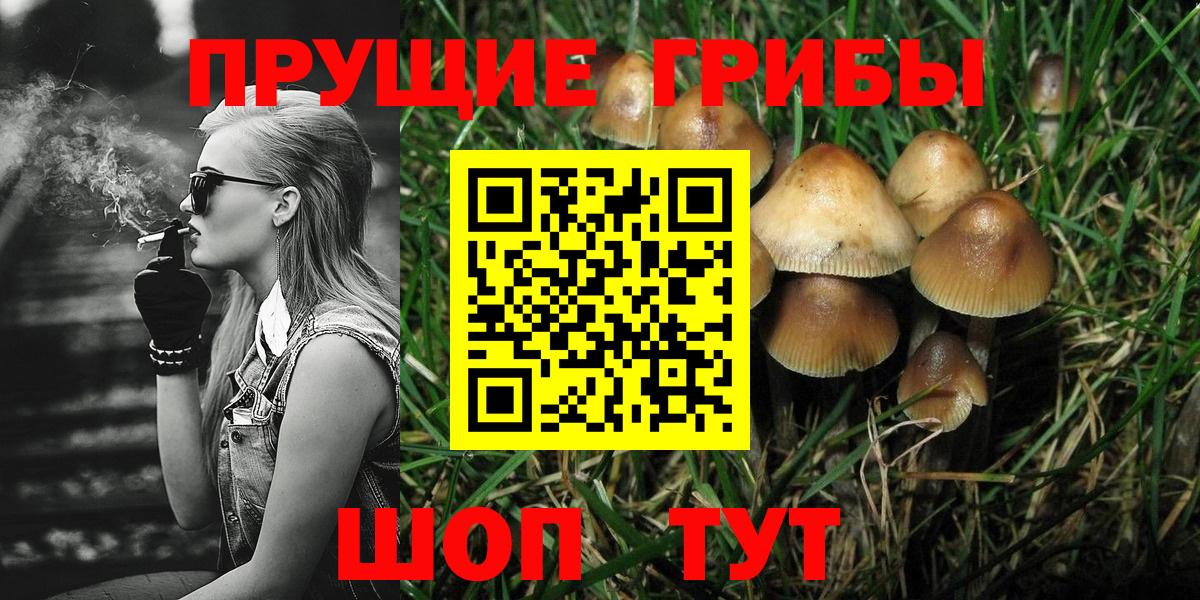 Галлюциногенные грибы мицелий  Галлюциногенные грибы Cubensis  Армавир  где продают   Вход с VPN 